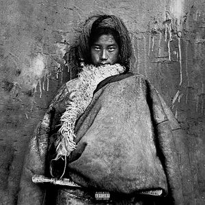 防火墙高端小鲤导航
